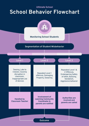 School Behavior Flowchart